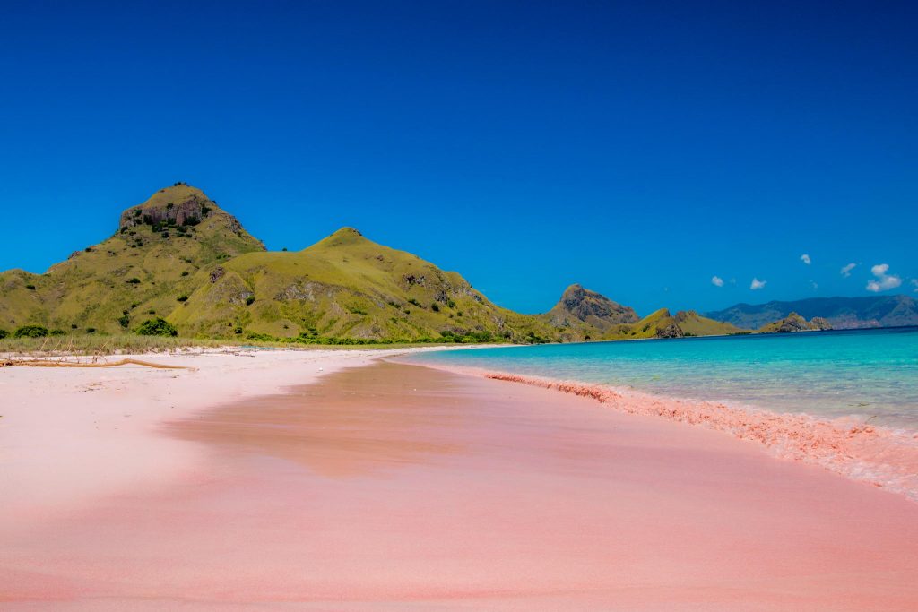 pink-beach-indonesia