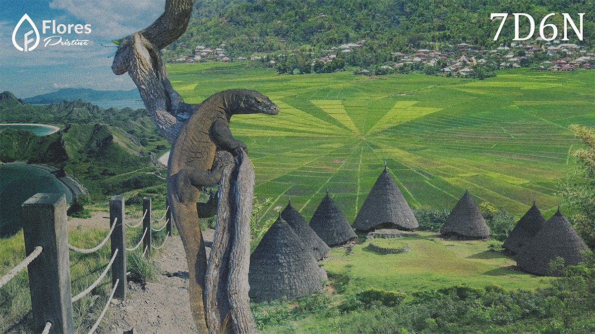 West Flores Adventure Tour Ruteng, Wae Rebo & Komodo Dragon Expedition