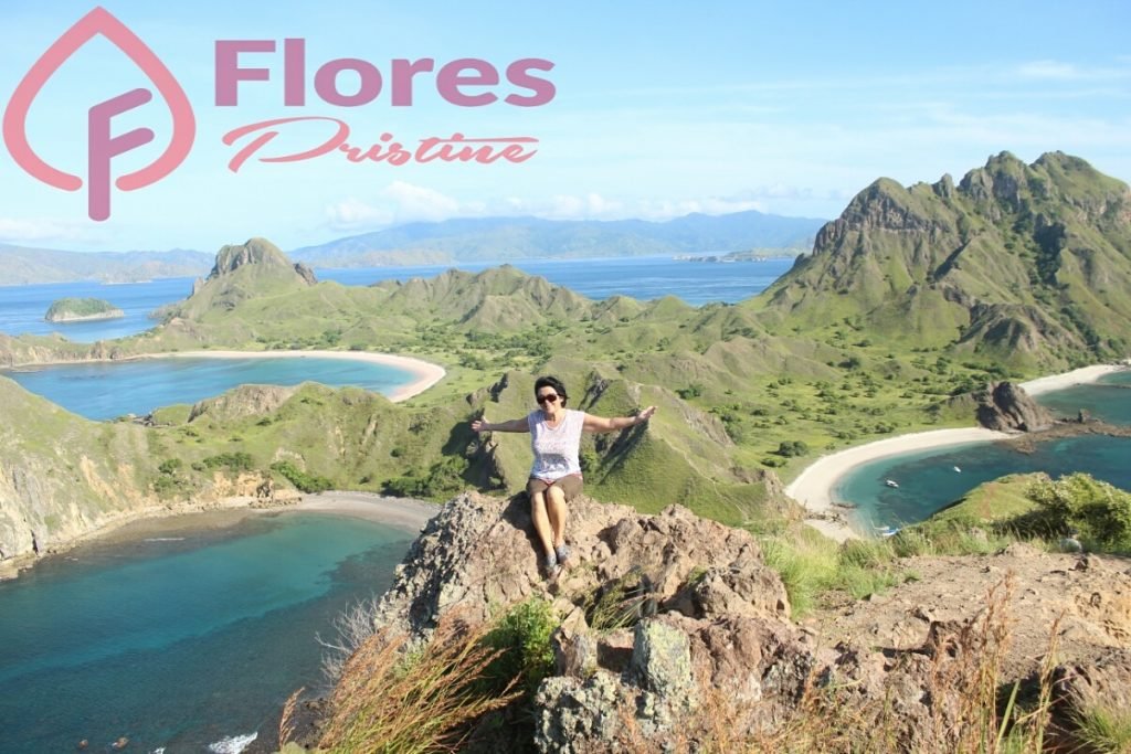 Padar Island Trip