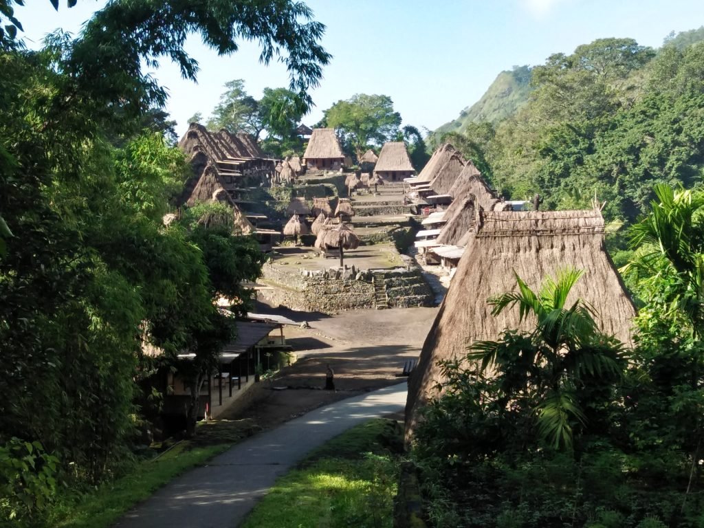 Bena Traditional Village 