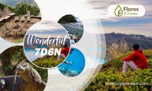 komodo tour package