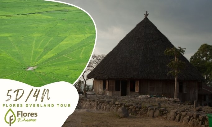 5D4N. Flores Overland Tour