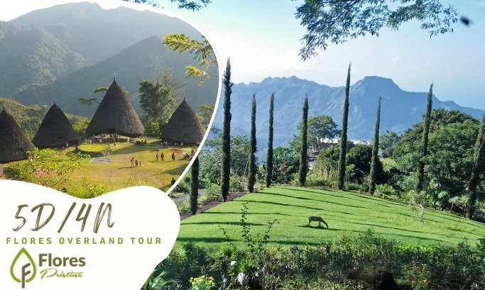 5D4N. Flores Overland Tour Labuan Bajo, Bajawa, Ende, Maumere