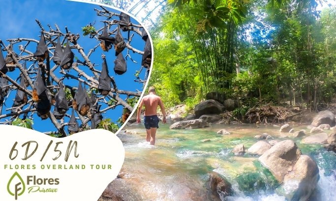 6D5N. Flores Overland Tour