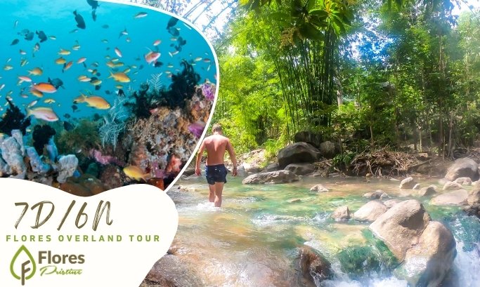 7D6N. Flores Overland Tour