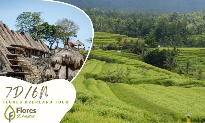 7d6n flores pristine island adventure | 7D6N Flores Pristine Island Adventure
