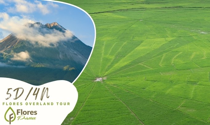 5d4n flores pristine island tour | 5D4N Flores Pristine Island Tour