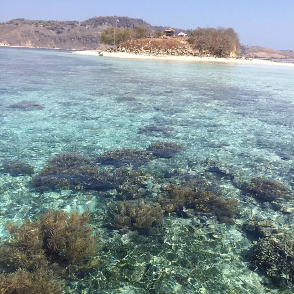 Landscape of Burung Island