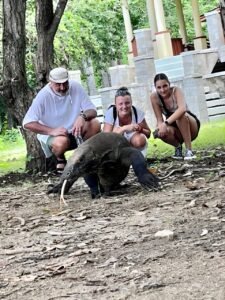 Komodo Tour