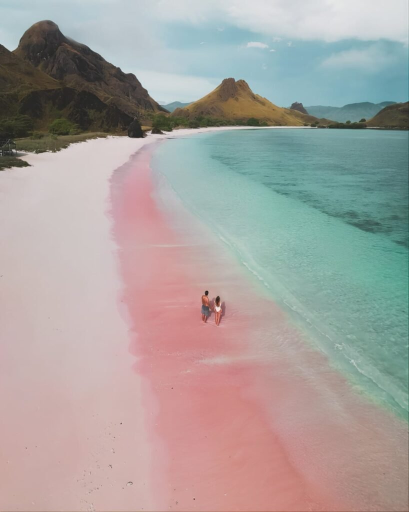 Long Pink Beach-Paket Wisata Komodo