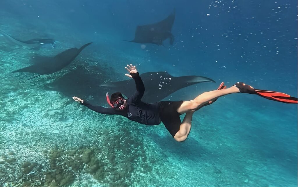 Manta Point-Paket Wisata Labuan bajo