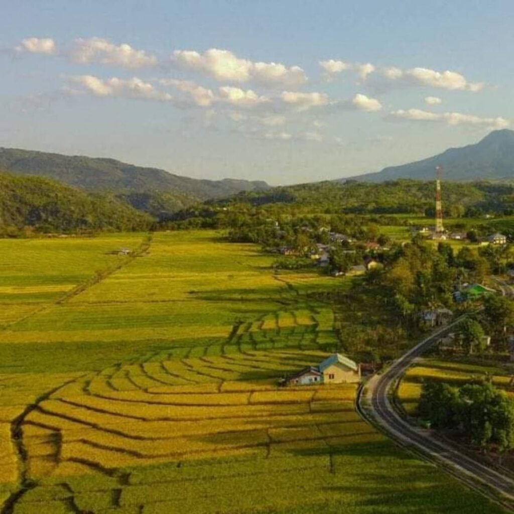 Moni Rice Field-Kelimutu Lake Tour