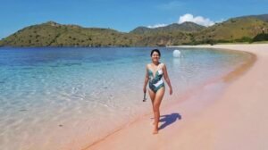 Namo Pink Beach-Sout of Komodo Island