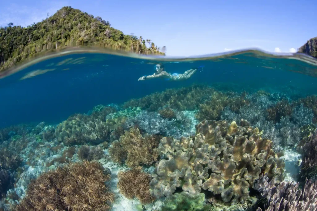 Snorkeling Experience in Sebayur Island