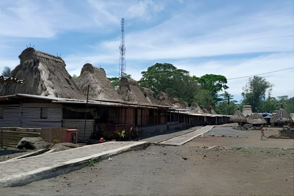 Wogo Traditional Village of Ngada Regency-Flores Island Trip