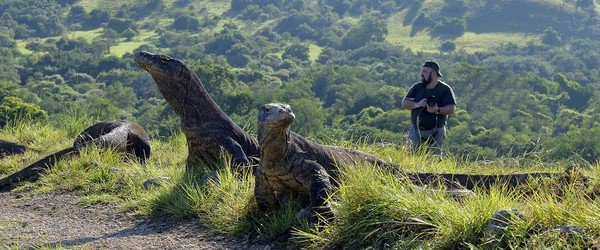 Komodo Island