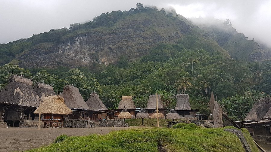 Tololela Village in Bajawa with Pristine Tour