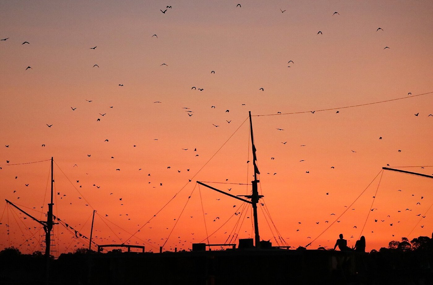 Flores to Komodo boat trip exploring Komodo National Park island hopping snorkeling and enjoying stunning ocean views