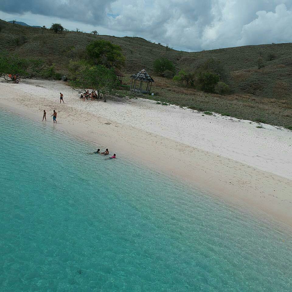Discover Flores wild beauty on a Komodo Island Tour featuring Komodo dragons and island adventures with Pristine Tour