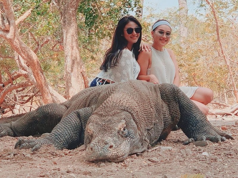 Komodo Dragon-Backpacker Trip Sailing Komodo 4D3N