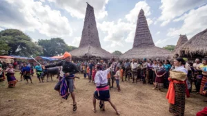 Cultural Heritage Trip Flores and Sumba