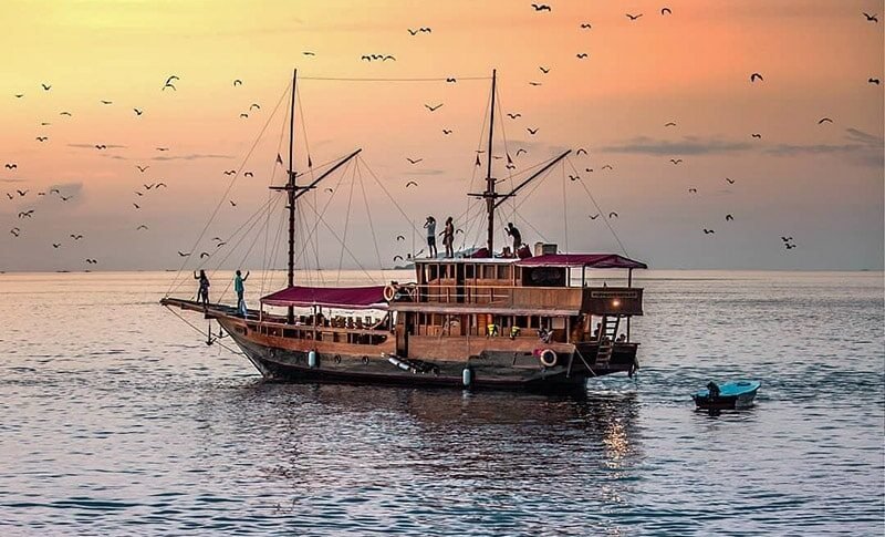 kalong island Komodo Open Trip Package