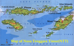East Nusa Tenggara Private Package Tour