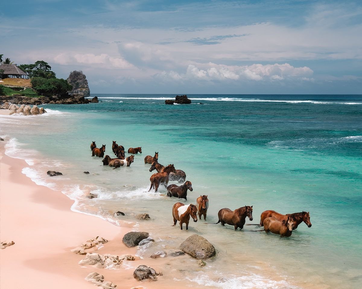 Explore the Best of East Nusa Tenggara with the Flores and Sumba Tour Package by Pristine Tour