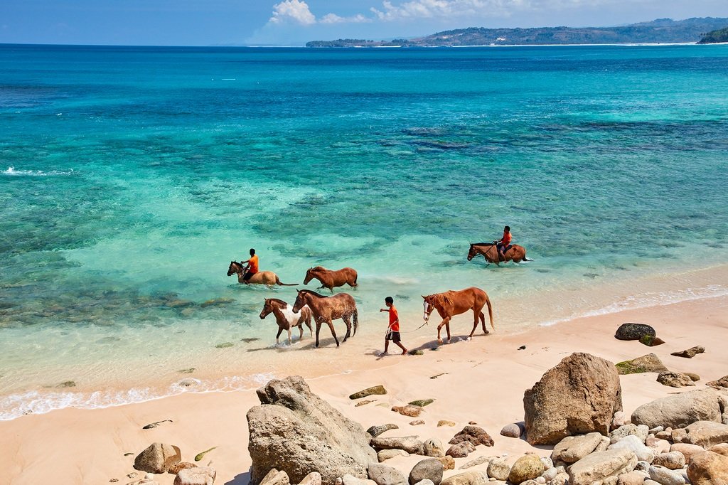 Activities Sumba Road Trip
