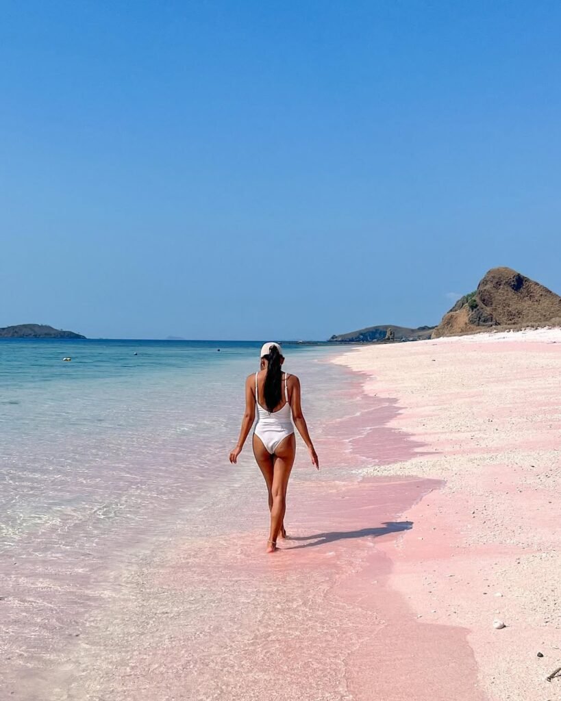 Pink Beach Komodo-One Day Tour Komodo Island