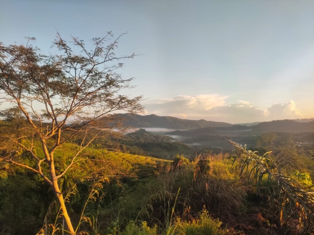 Scenic view of Watu Benta at Golo Lajang Village, Flores, showing camping tents, lush landscapes, and dramatic cliffs under golden sunlight.