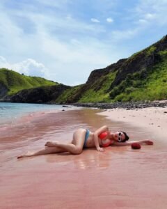 Pink Beach Komodo Trip