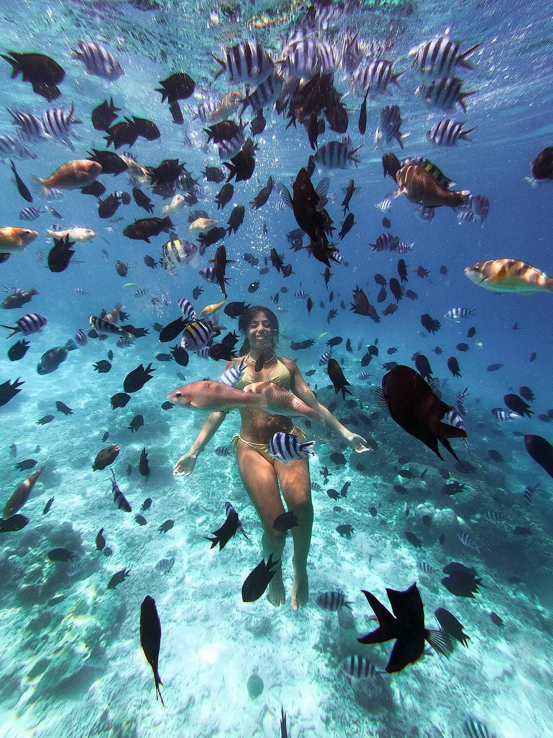 Tempat wisata terbaik di Labuan Bajo termasuk pulau pulau eksotis pantai indah snorkeling dan aktivitas wisata laut yang populer