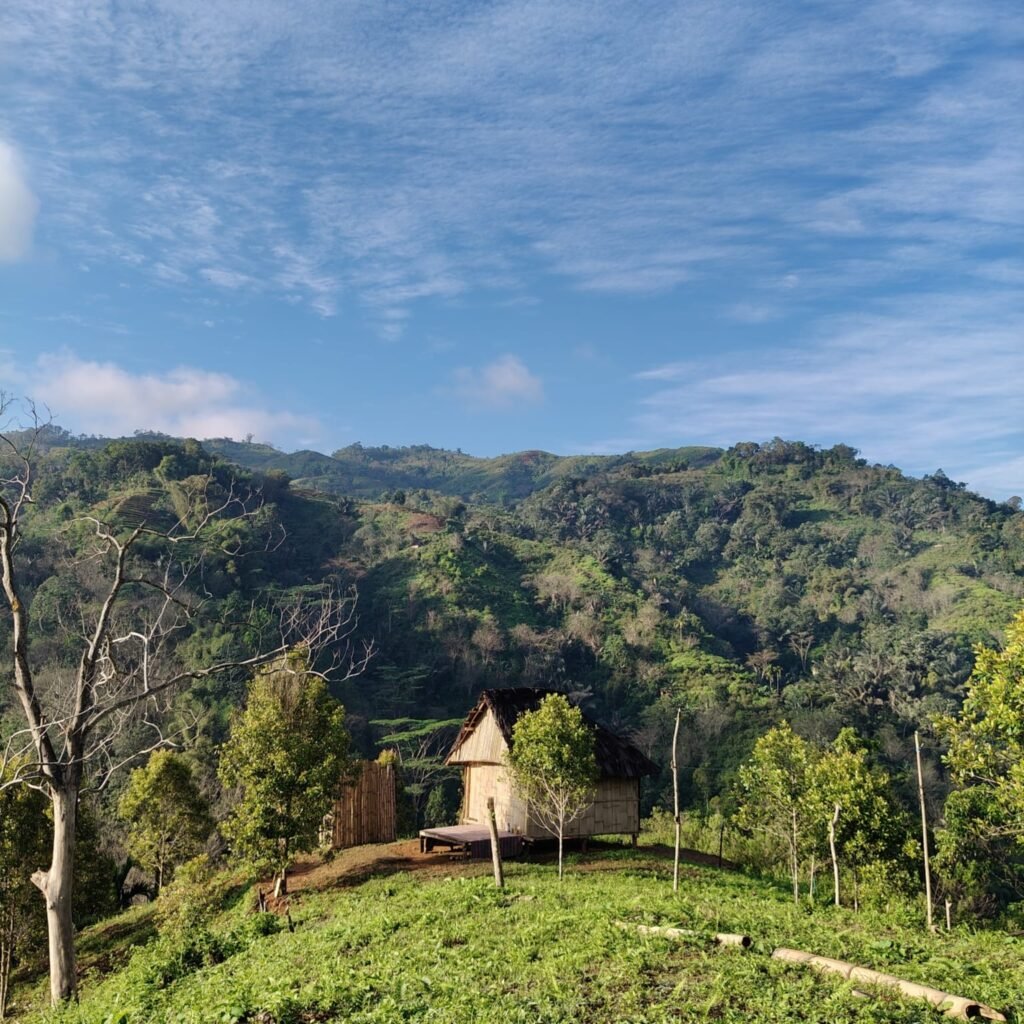 Uma Lantar Eco-Stay in Flores promotes sustainable living through eco-friendly architecture, organic farming, and community-based tourism experiences.