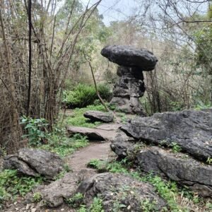 mbrella Stone-Trip to Labuan Bajo