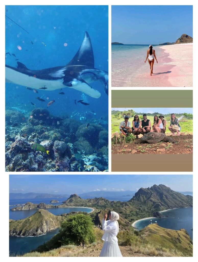 Aerial view of top destinations in Komodo National Park including Padar Island, Pink Beach, Komodo Island, and crystal-clear snorkeling spots.