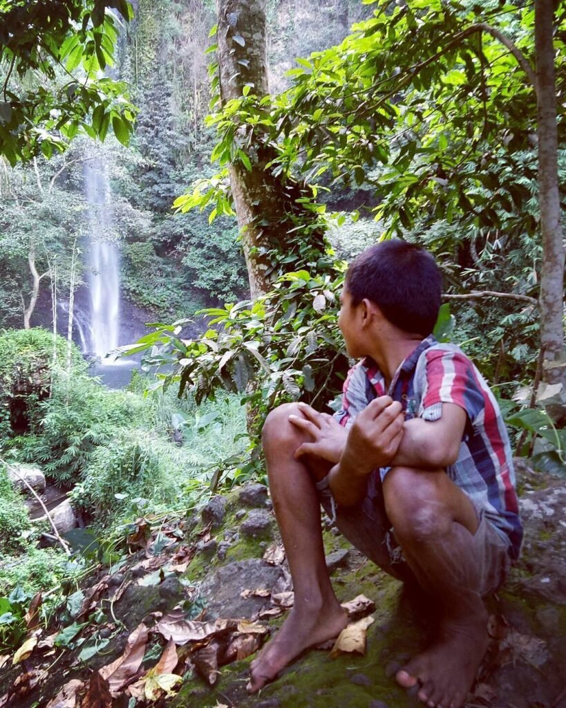 Kedobodu Waterfall-Flores Tour from Ende