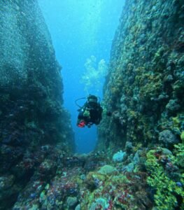 Komodo diving and snorkeling trip exploring colorful coral reefs and diverse marine life in crystal-clear waters
