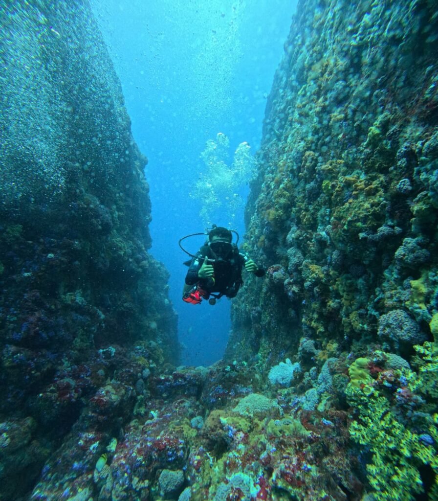 Komodo diving and snorkeling trip exploring colorful coral reefs and diverse marine life in crystal-clear waters