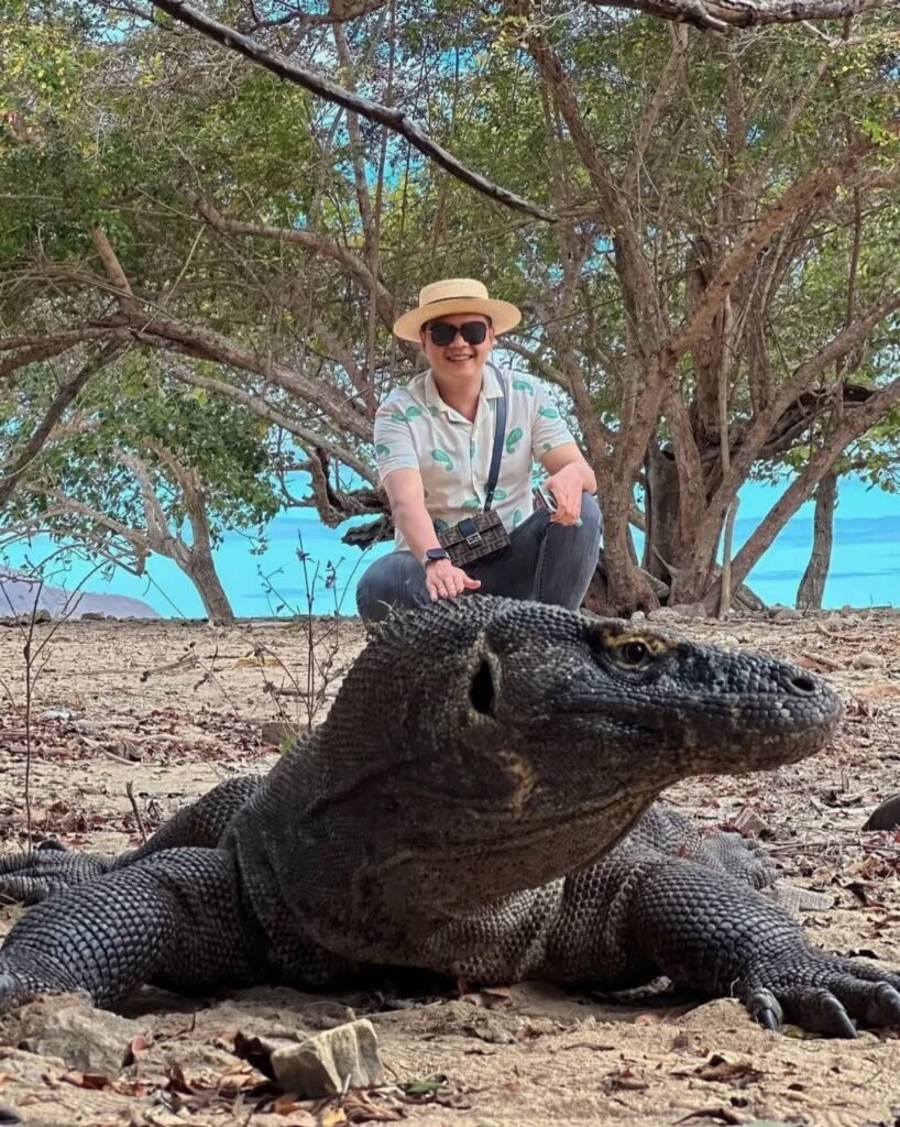 Komodo Dragon-Komodo Tour from Labuan Bajo and Back to Labuan Bajo