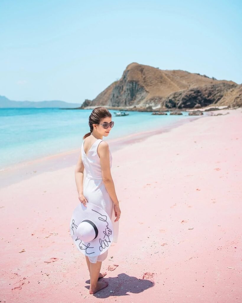 Wisatawan trekking melihat komodo di Taman Nasional Komodo selama Paket Liburan Labuan Bajo.