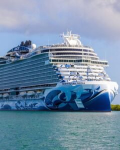 Norwegian prima cruise ship komodo island shore excursion | flores island indonesia tour komodo tour packages alor tour packages sumba tour lombok & bali tour Norwegian Prima Cruise Ship Komodo Island Shore Excursion