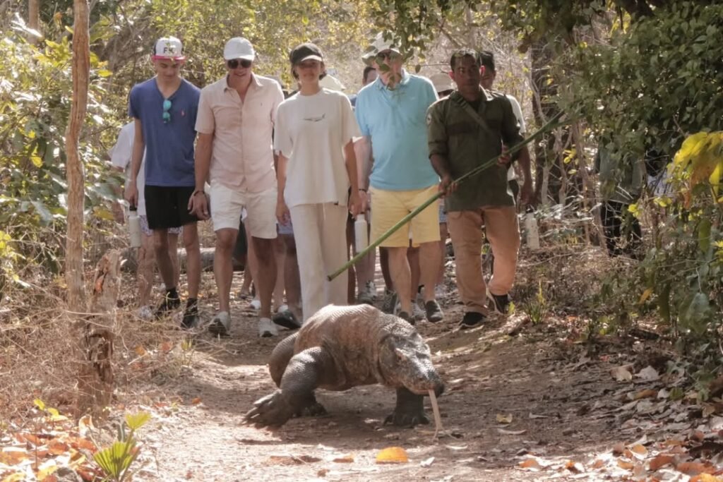 Trekking at loh liang komodo island komodo shore excursion from cruise ship | flores island indonesia tour komodo tour packages alor tour packages sumba tour lombok & bali tour Trekking at Loh Liang Komodo Island Komodo Shore Excursion from Cruise Ship
