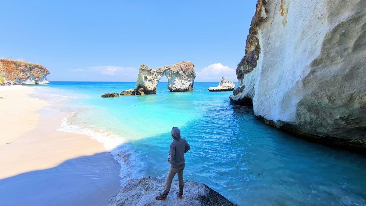 Discover the Best Tour to Alor Island from Flores or Kupang