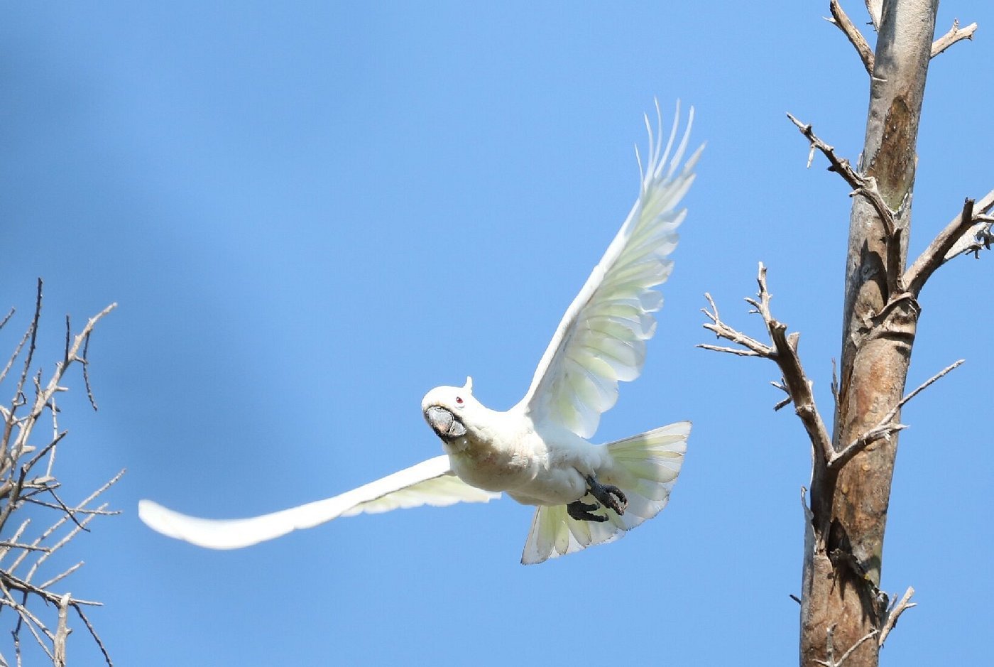 Discover the wonders of Flores Indonesia with natural landscapes, islands, beaches, and ocean views