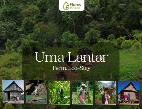 Scenic view of Uma Lantar Farm ecotourism in Manggarai Flores. Featuring a river, traditional agriculture, and the surrounding lush greenery.