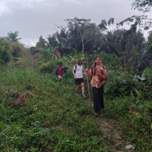 Flores island jungle tour uma lantar eco adventure | Flores Island Jungle Tour to Uma Lantar featuring lush rainforest scenery eco adventure activities and immersive nature experiences