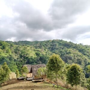 Flores retreat tour uma lantar eco retreat hut | Flores Retreat Tour Uma Lantar Eco Retreat Hut