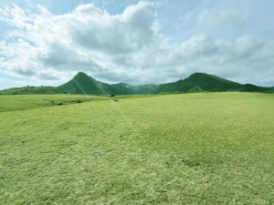 The beautiful green grasslands of mausui | The Beautiful Green Grasslands of Mausui