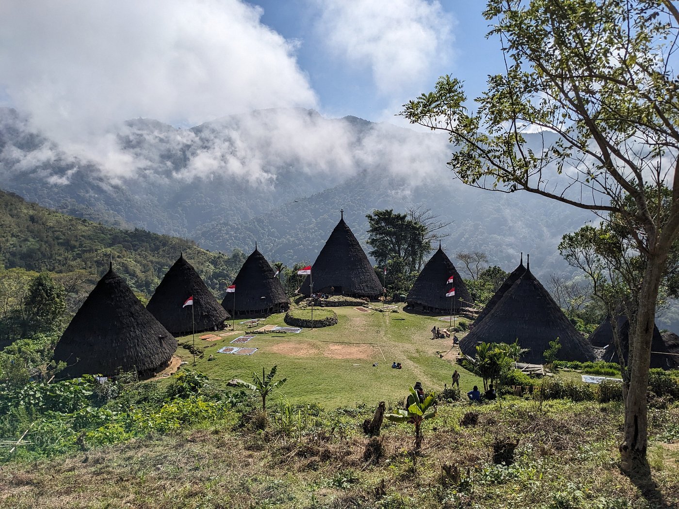 One day trip to Wae Rebo Village from Labuan Bajo or Ruteng Town, showcasing traditional Manggarai houses, scenic mountains, and cultural experiences